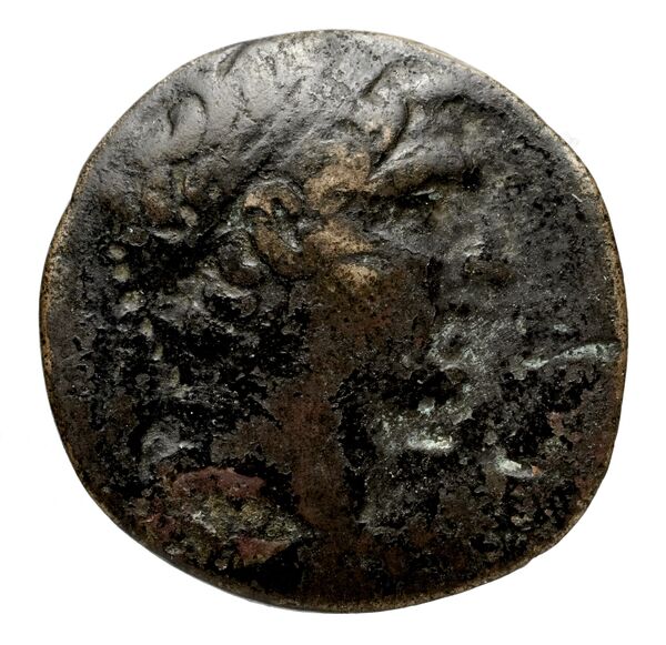 Seleucid Coins (part 2) 1672, аверс, bnf-hrc