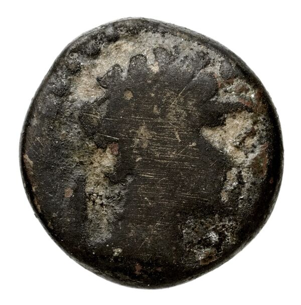 аверс Seleucid Coins (part 2) 1676.4