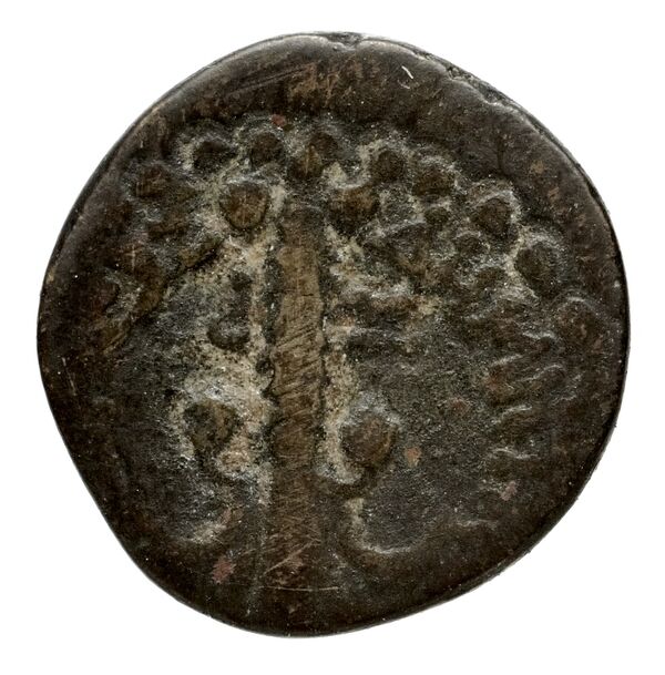 реверс Seleucid Coins (part 2) 1676.4
