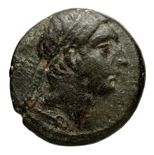 Seleucid Coins (part 2) 1666.2, аверс, bnf-hrc