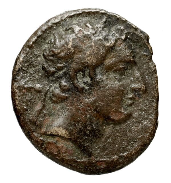 Seleucid Coins (part 2) 1666.2, аверс, bnf-hrc