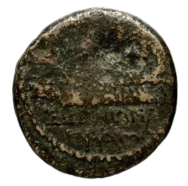 Seleucid Coins (part 2) 1666.2, реверс, bnf-hrc