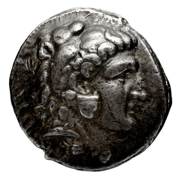 аверс Seleucid Coins (part 1) 204.5