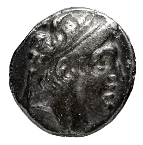 аверс Seleucid Coins (part 2) 1785.10b