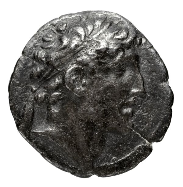 аверс Seleucid Coins (part 2) 1785.1e
