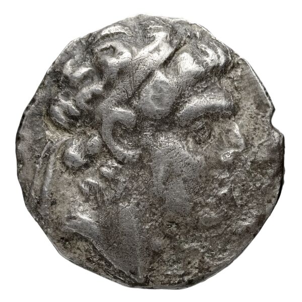 Seleucid Coins (part 2) 1859, аверс, bnf-hrc