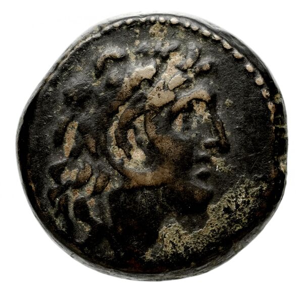 Seleucid Coins (part 2) 1805.1a, аверс, bnf-hrc