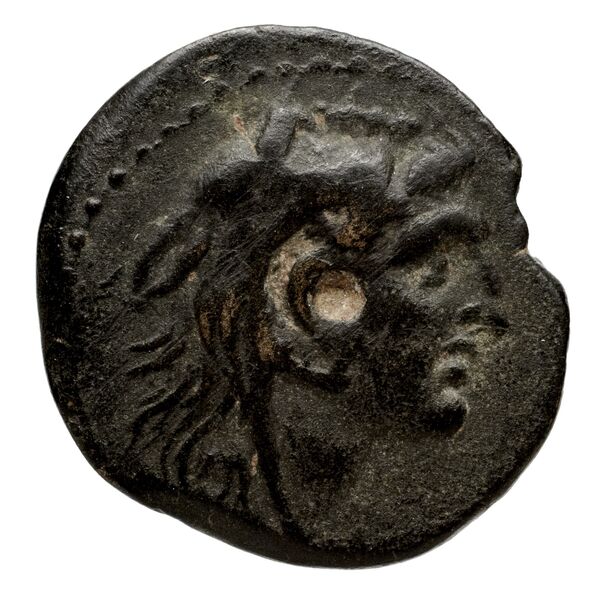 Seleucid Coins (part 2) 1805.2, аверс, bnf-hrc