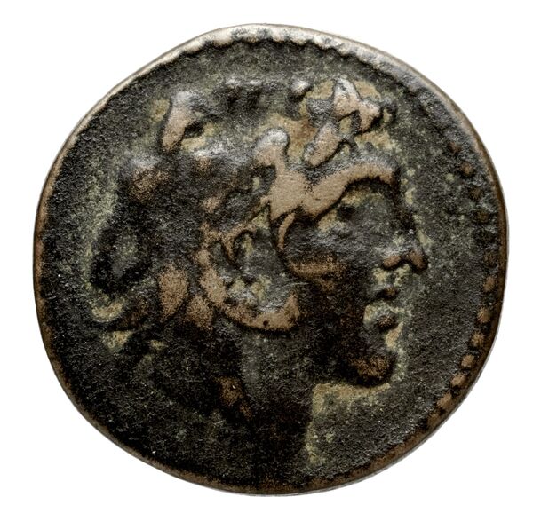 Seleucid Coins (part 2) 1805.2, аверс, bnf-hrc