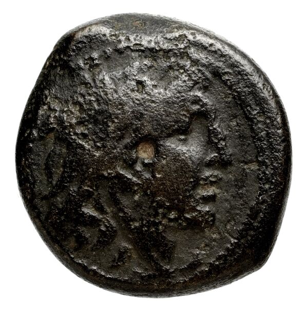 аверс Seleucid Coins (part 2) 1795