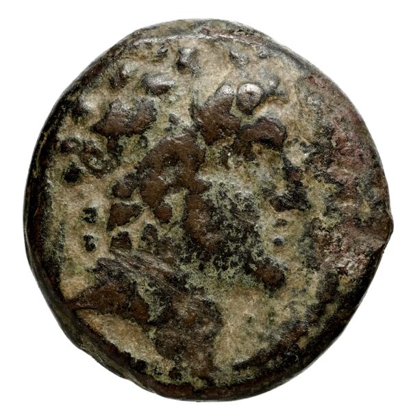 Seleucid Coins (part 2) 1817, аверс, bnf-hrc