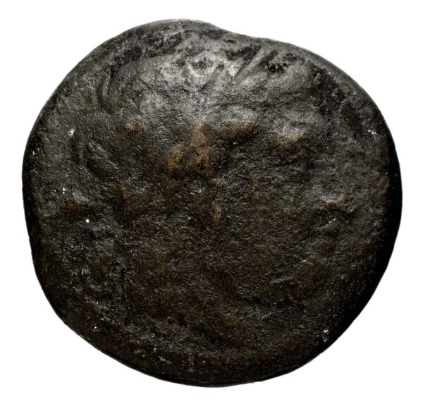 obverse Seleucid Coins (part 1) 15.3