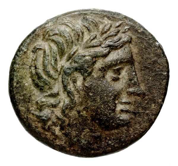 obverse Seleucid Coins (part 1) 17.1