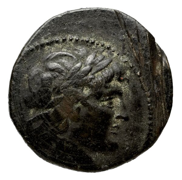 аверс Seleucid Coins (part 2) 1802