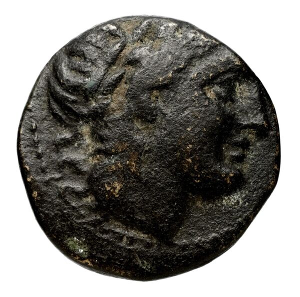 Seleucid Coins (part 1) 17.3, аверс, bnf-hrc