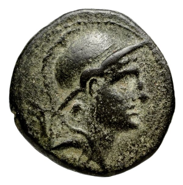 Seleucid Coins (part 2) 1790.1a, аверс, bnf-hrc