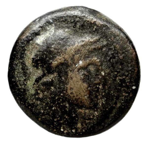 Seleucid Coins (part 2) 1790.3a, аверс, bnf-hrc
