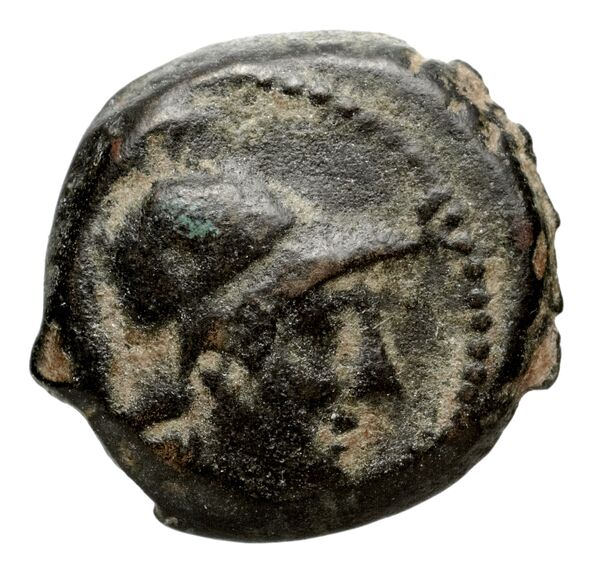 аверс Seleucid Coins (part 2) 2232.3