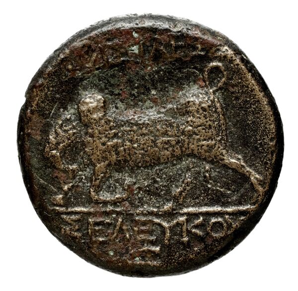 reverse Seleucid Coins (part 1) 24.2