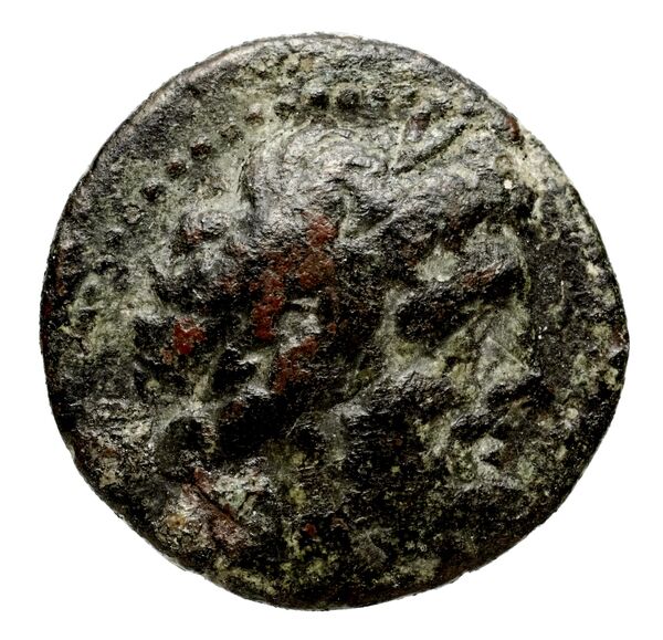 аверс Seleucid Coins (part 2) 2239a