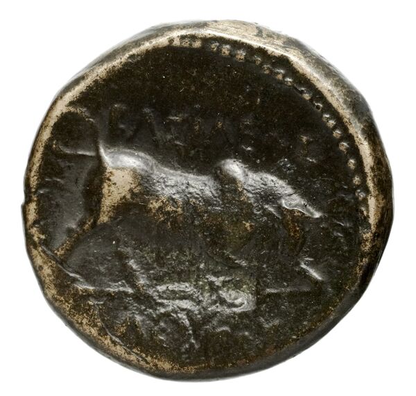 Seleucid Coins (part 1) 21.2, реверс, bnf-hrc