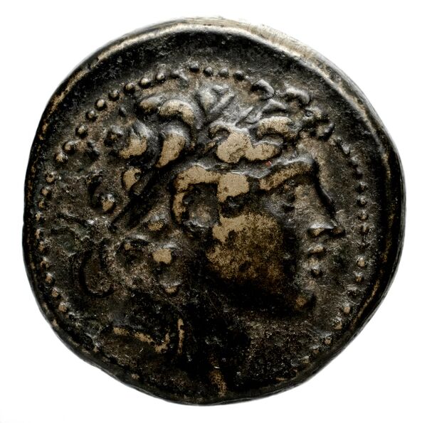 Seleucid Coins (part 2) 1788, аверс, bnf-hrc