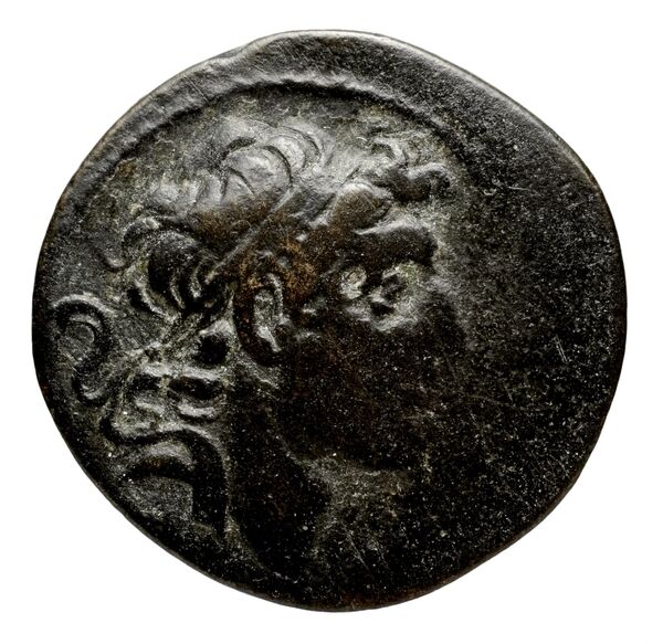 аверс Seleucid Coins (part 2) 1804