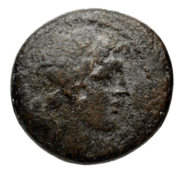 Seleucid Coins (part 2) 1804, аверс, bnf-hrc