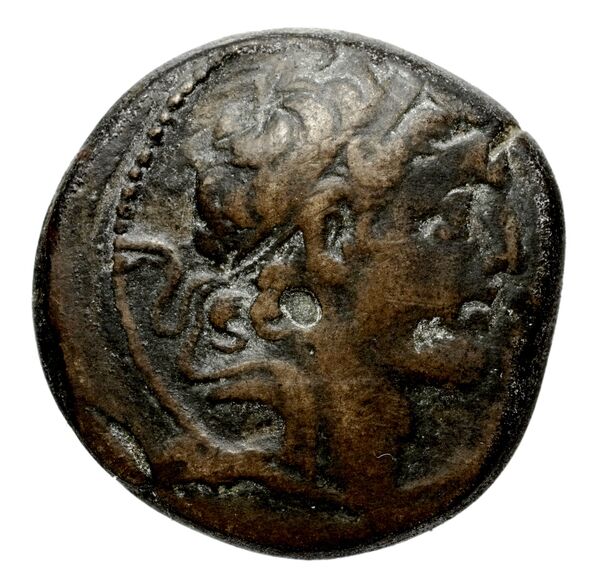 Seleucid Coins (part 2) 1804a, аверс, bnf-hrc