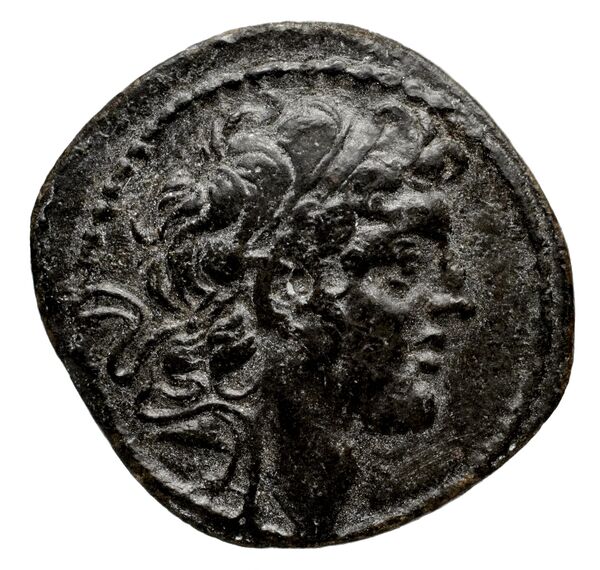 Seleucid Coins (part 2) 1804a, аверс, bnf-hrc