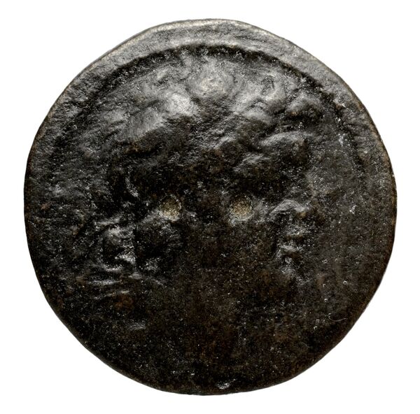 Seleucid Coins (part 2) 1804a, аверс, bnf-hrc