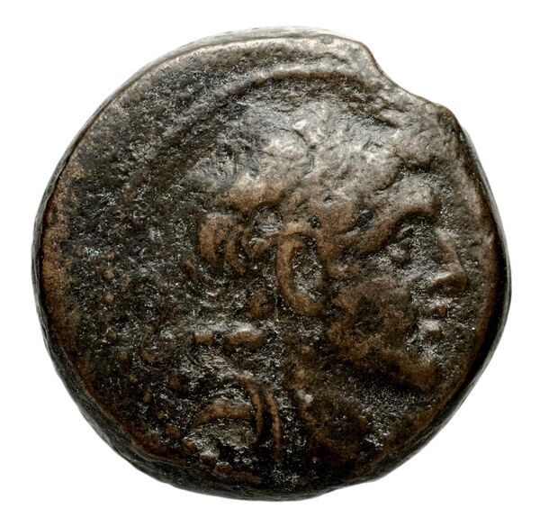 Seleucid Coins (part 2) 1804a, аверс, bnf-hrc