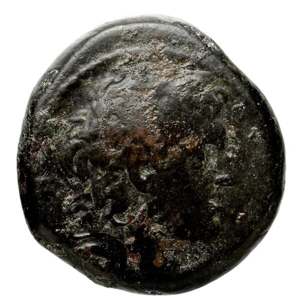Seleucid Coins (part 2) 1804c, аверс, bnf-hrc