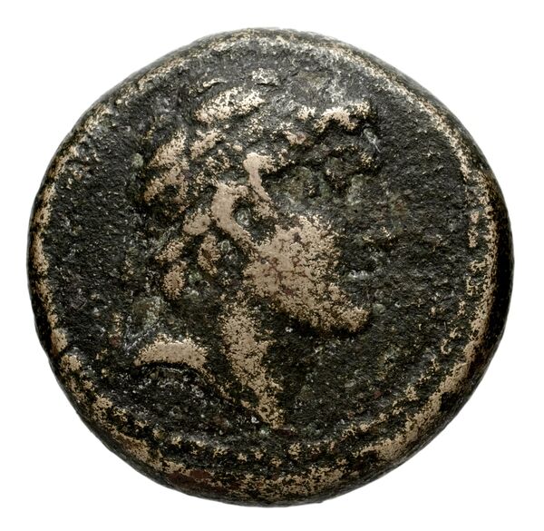 Seleucid Coins (part 2) 1806a, аверс, bnf-hrc