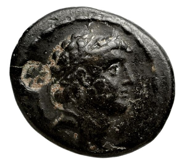 Seleucid Coins (part 2) 1806a, аверс, bnf-hrc