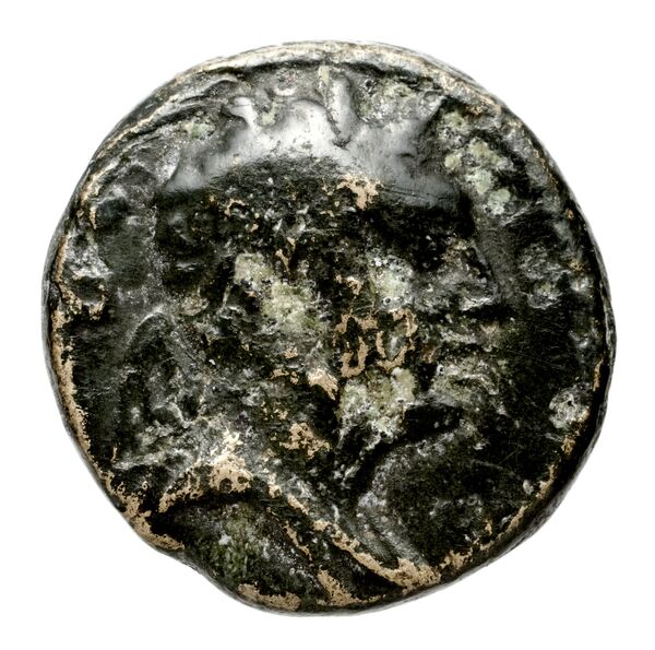 аверс Seleucid Coins (part 2) 1807