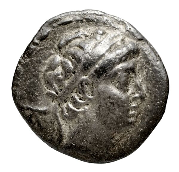 Seleucid Coins (part 2) 1986.1, аверс, bnf-hrc