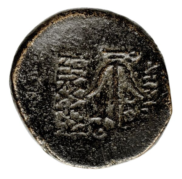 реверс Seleucid Coins (part 2) 1938
