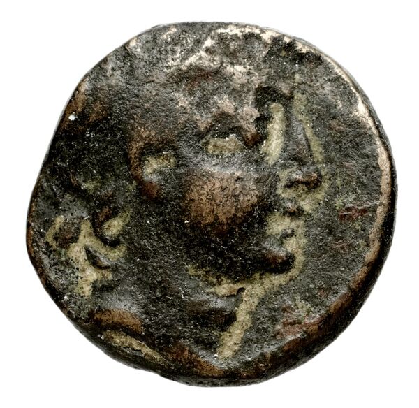 Seleucid Coins (part 2) 1928a, аверс, bnf-hrc