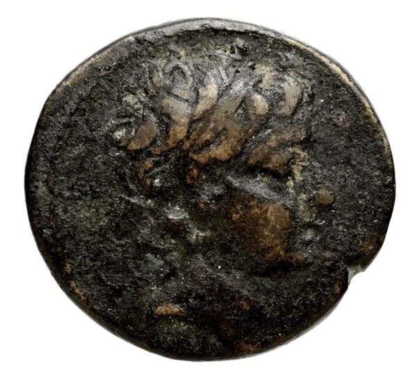 Seleucid Coins (part 2) 1928a, аверс, bnf-hrc