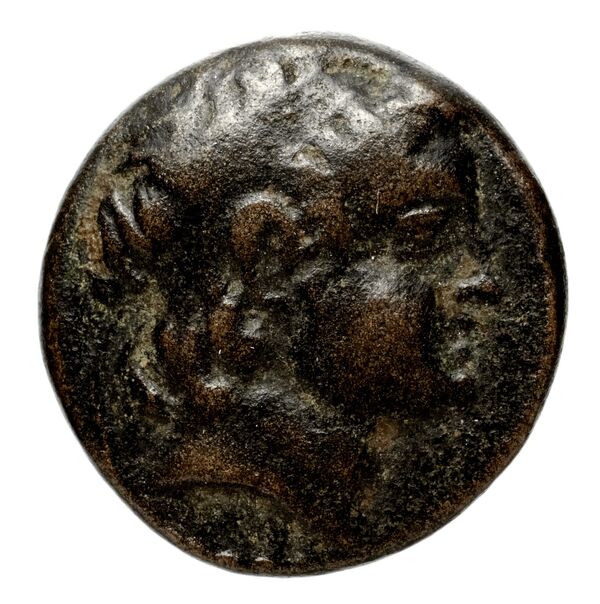 Seleucid Coins (part 2) 1928a, аверс, bnf-hrc