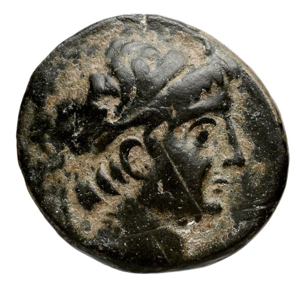 Seleucid Coins (part 2) 1979, аверс, bnf-hrc
