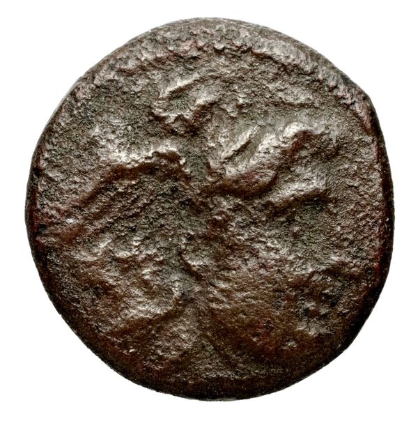 аверс Seleucid Coins (part 1) 6.2b