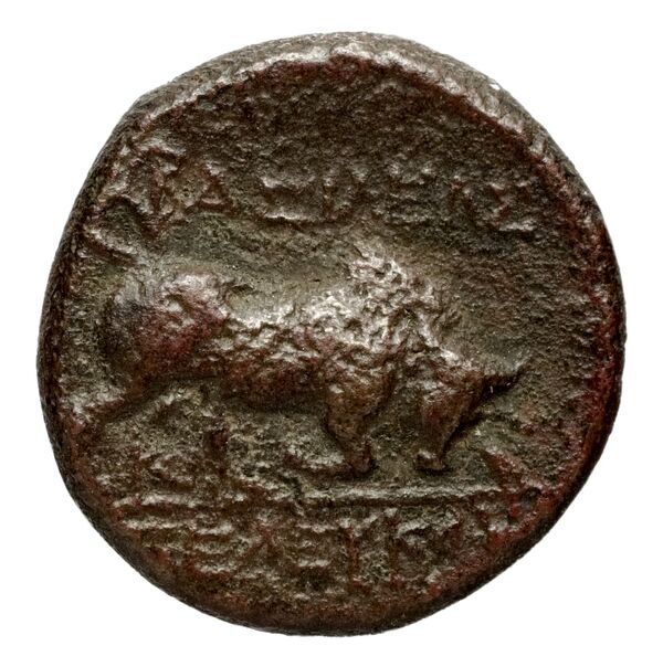 реверс Seleucid Coins (part 1) 6.2b