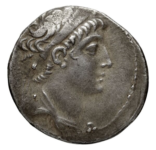 Seleucid Coins (part 2) 1959.1b, аверс, bnf-hrc