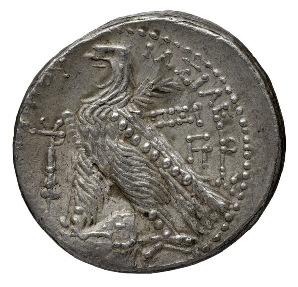 Seleucid Coins (part 2) 1959.1b, реверс, bnf-hrc
