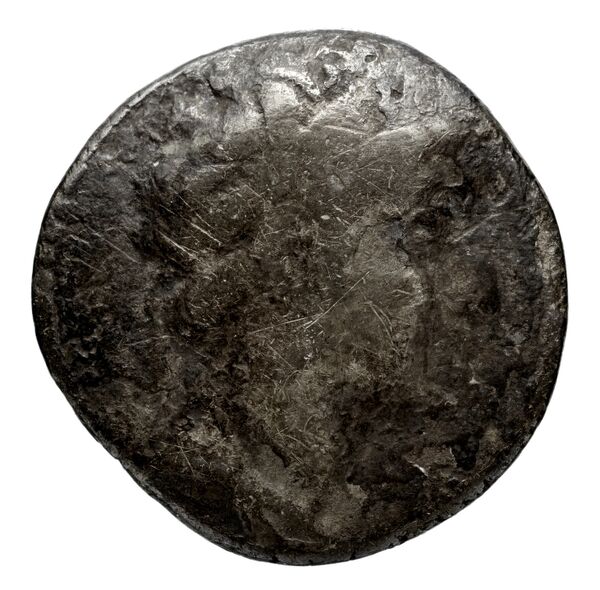 аверс Seleucid Coins (part 2) 1959.1c