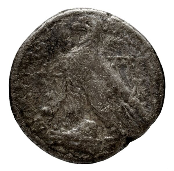 реверс Seleucid Coins (part 2) 1959.1c