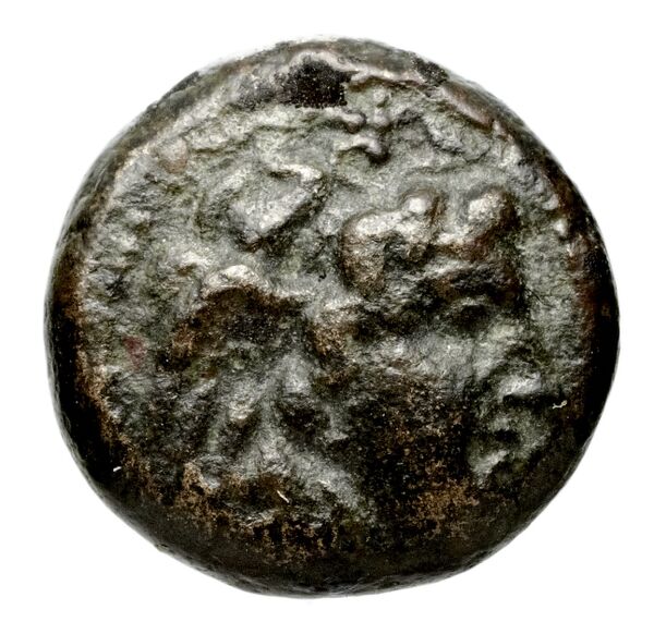 аверс Seleucid Coins (part 1) 19