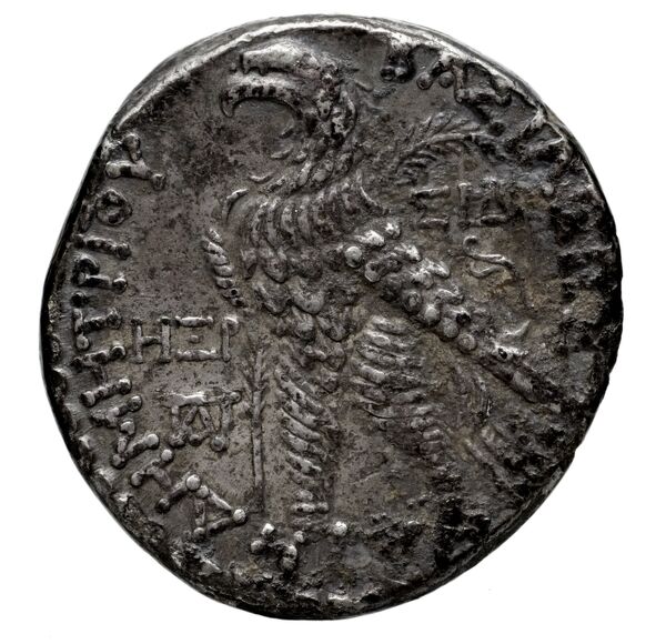 реверс Seleucid Coins (part 2) 1954.2b